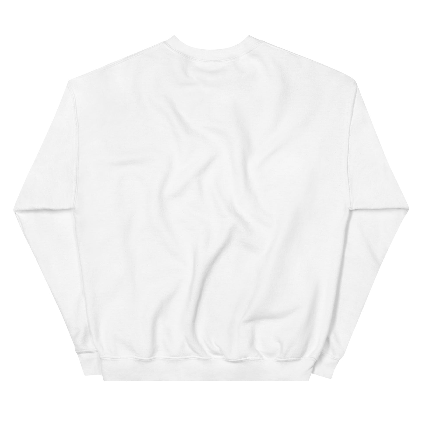 Resilient A.F. Crewneck (colours!)